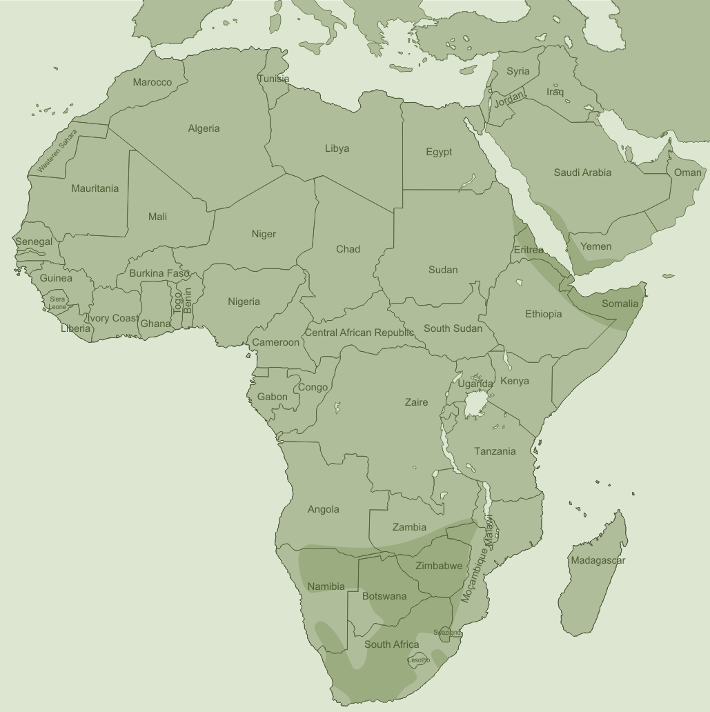 Distribution map of Duvalia
